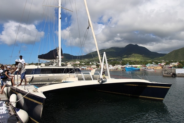 A catamaran boat in a marina