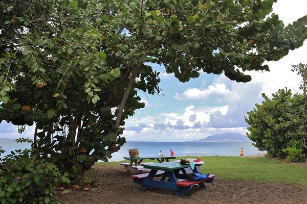 colorful picnic tables by the beach