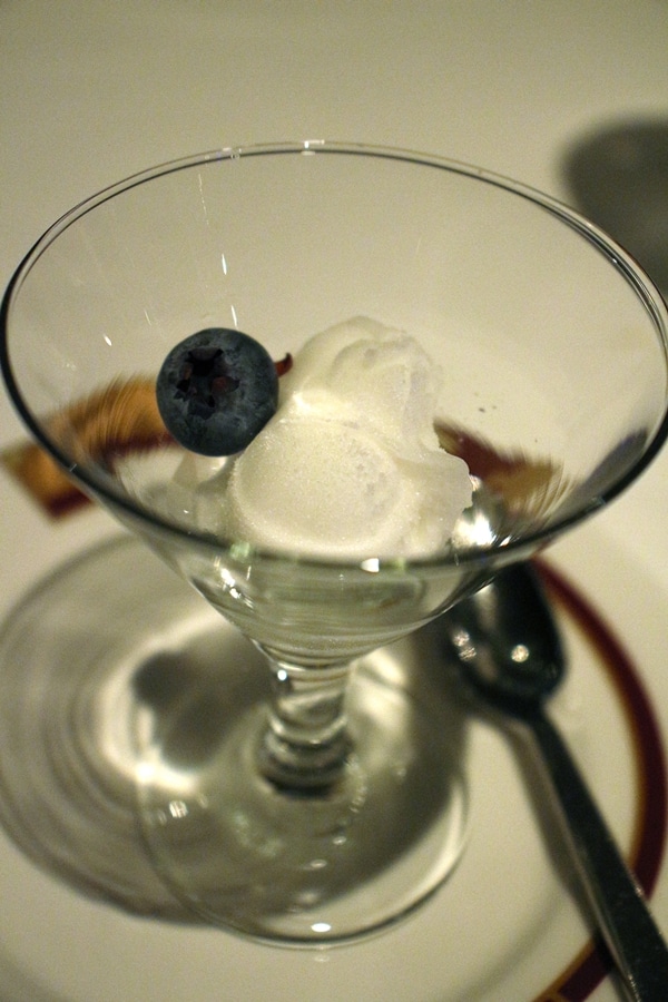 a small cocktail glass with a scoop of sorbet and a blueberry