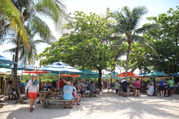 picnic tables with colorful umbrellas under palm trees