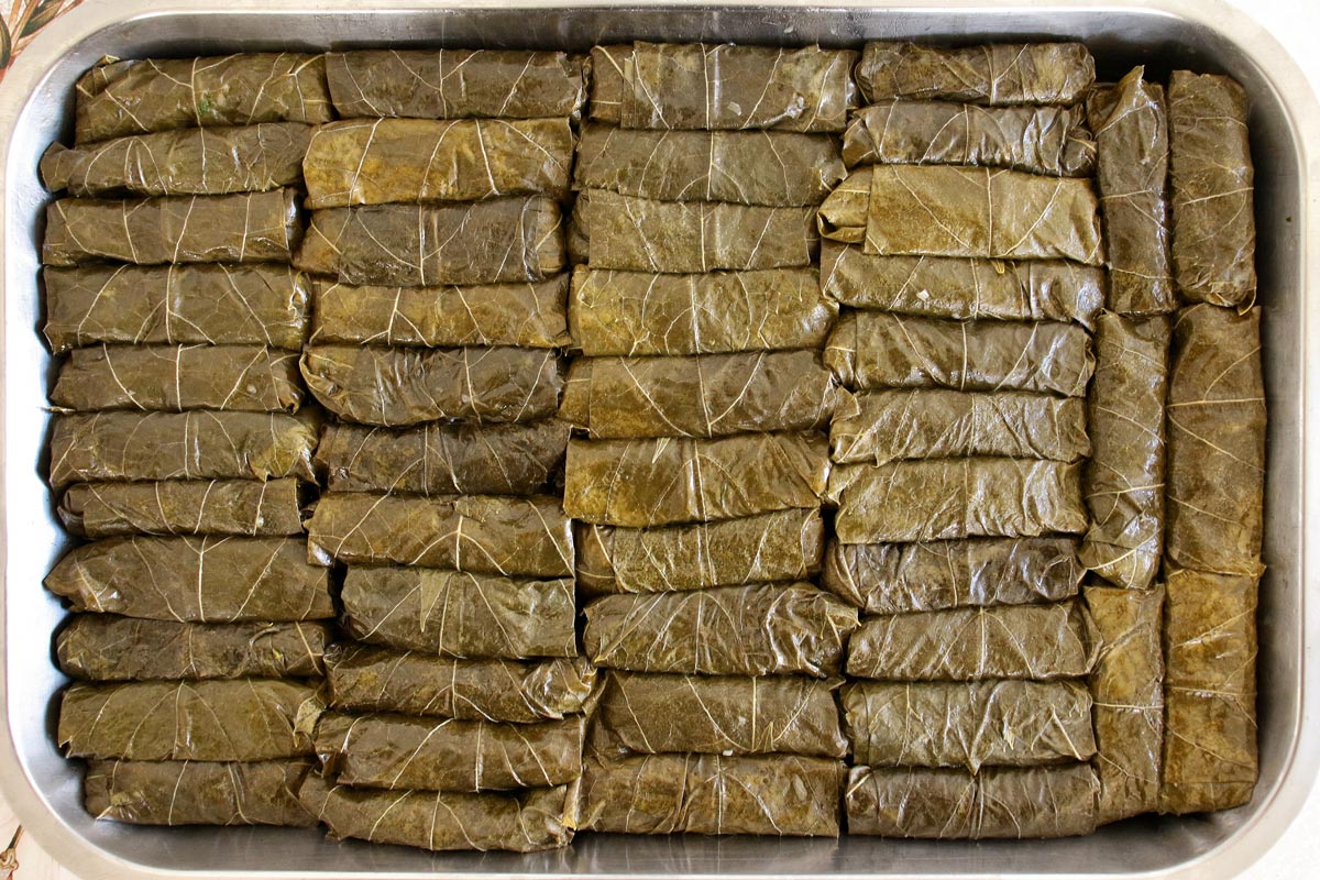 A baking pan full of stuffed grape leaves