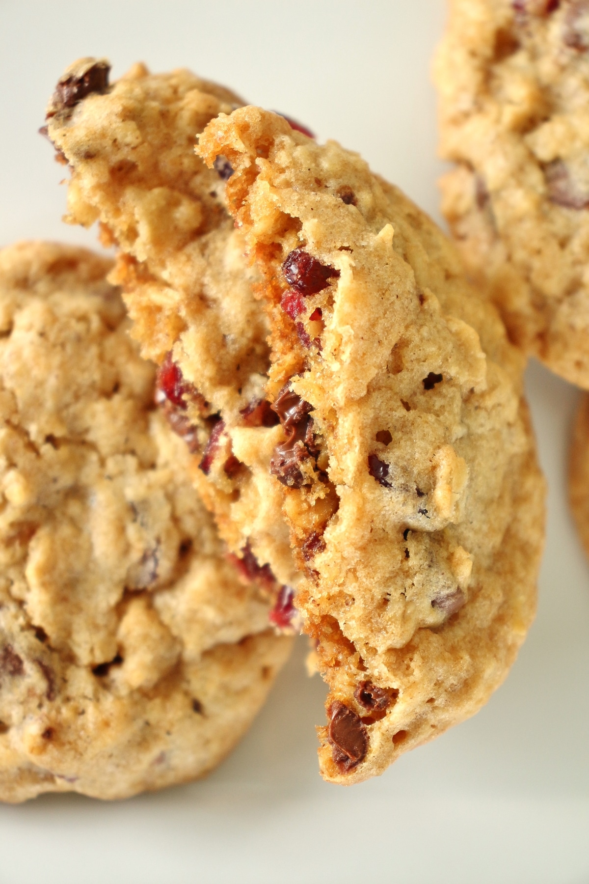 a closeup of a broken cranberry chocolate chip cookie on a white plate.