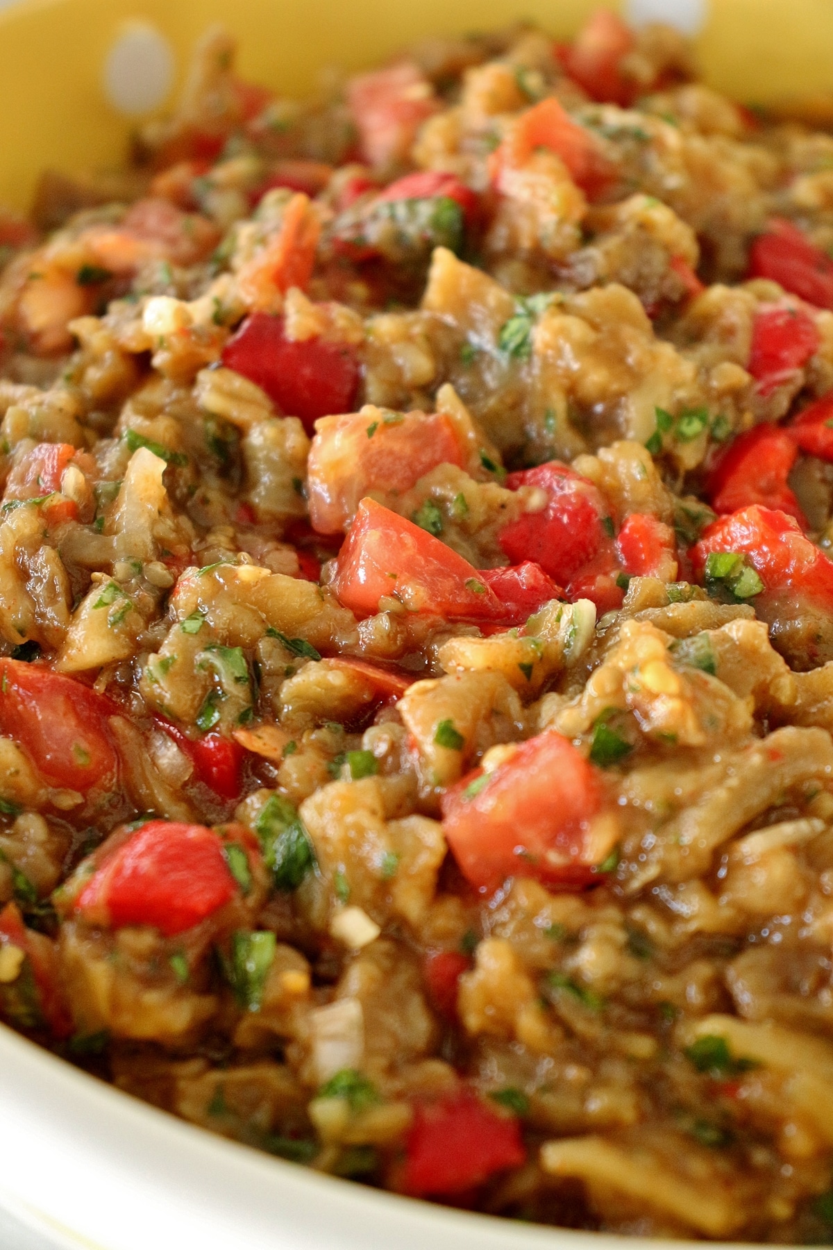 closeup of Armenian grilled vegetable salad consisting of eggplant, red bell peppers, and tomatoes