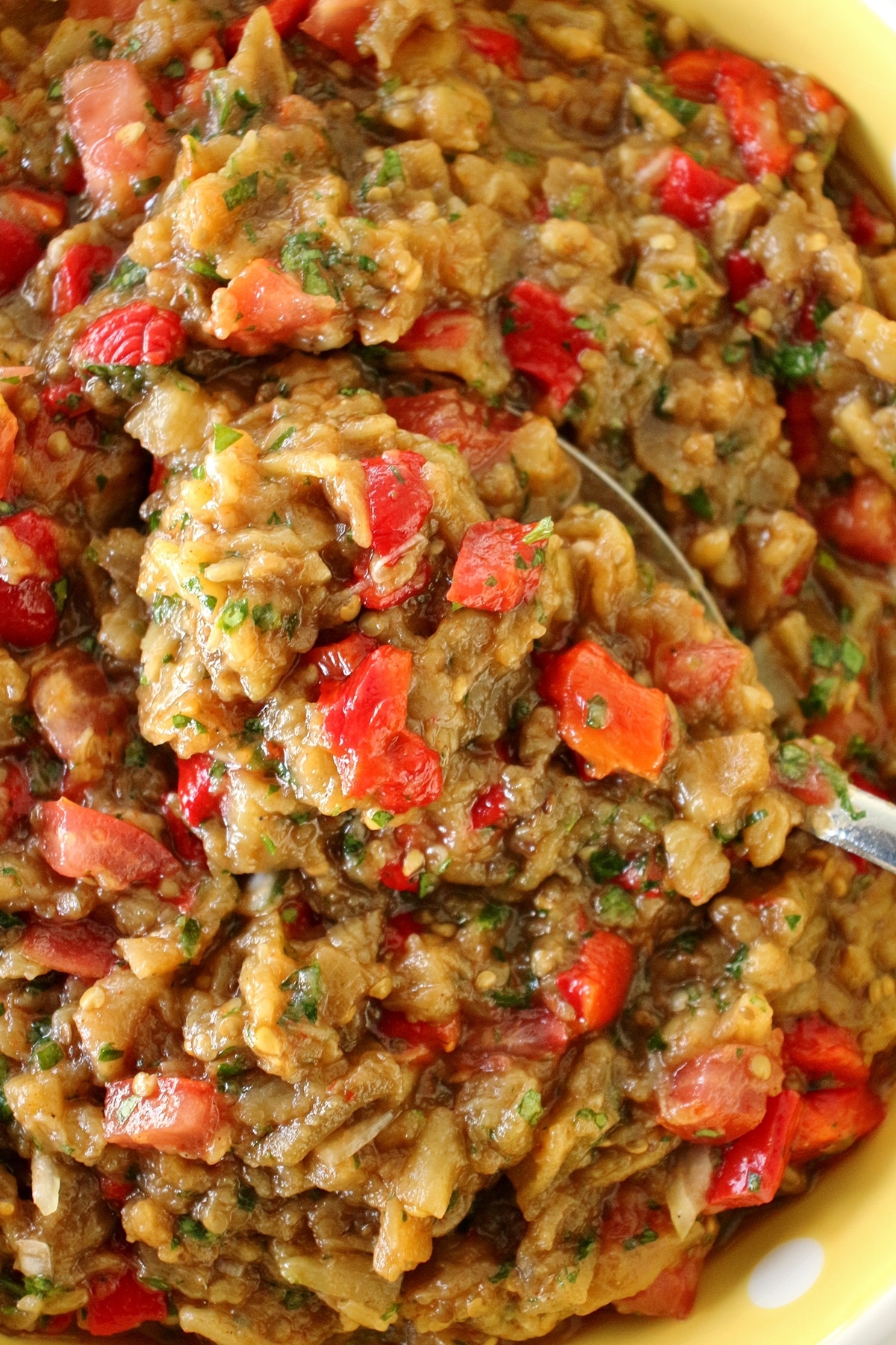 Armenian grilled vegetable salad consisting of eggplant, red bell peppers, and tomatoes