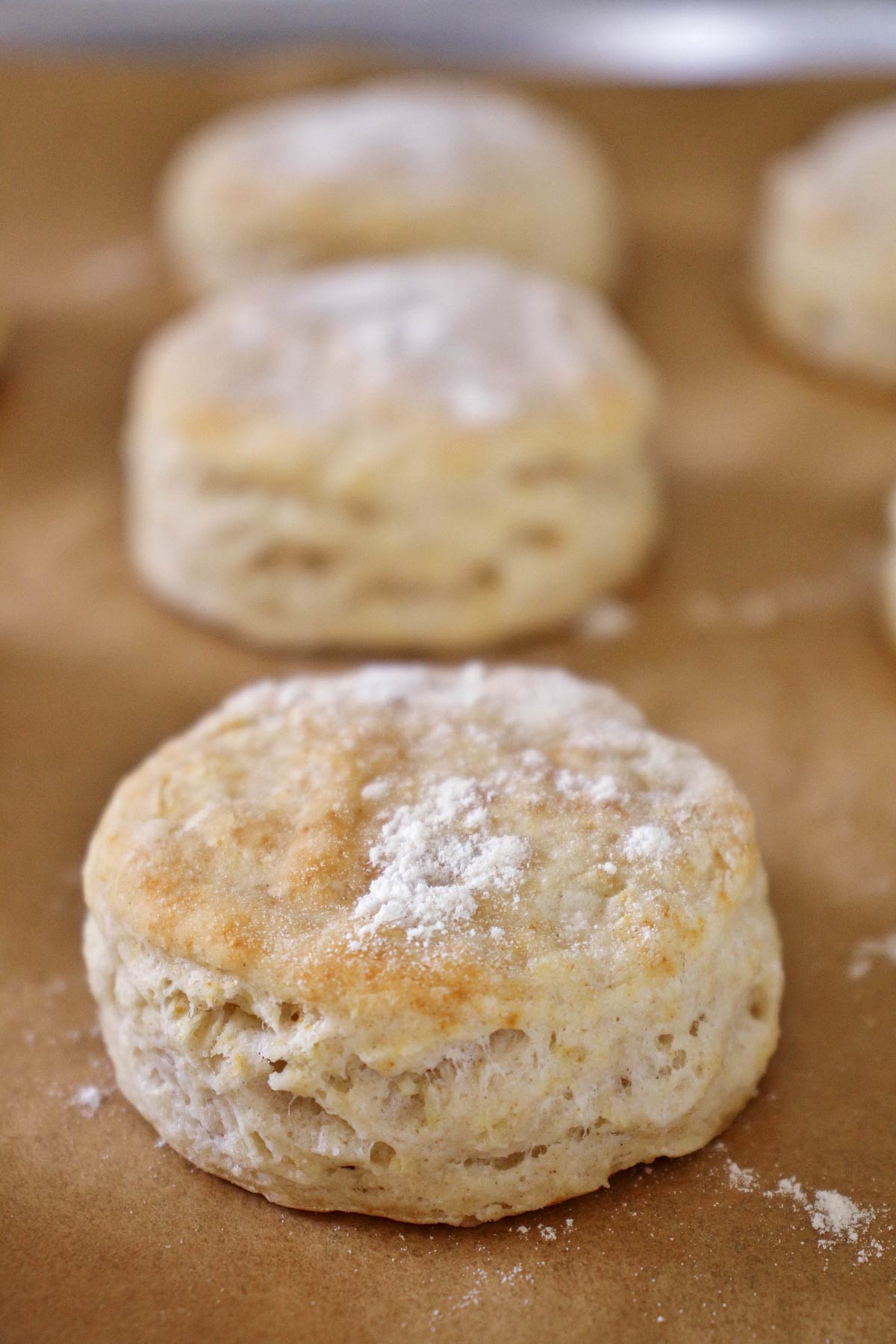 a close up of freshly baked afternoon tea scones on a parchment paper-lined baking sheet