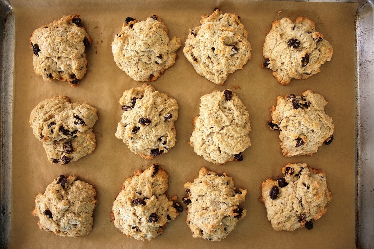 A baking sheet of 12 baked rock cakes with raisins