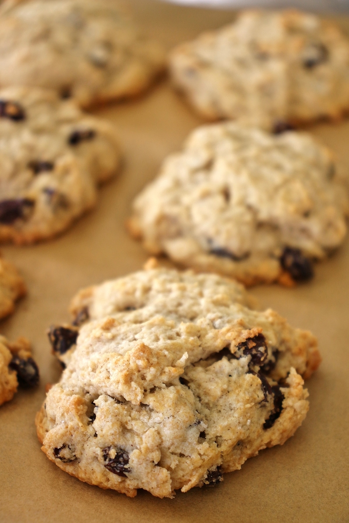 close up of baked British rock buns on a parchment paper-lined baking sheet