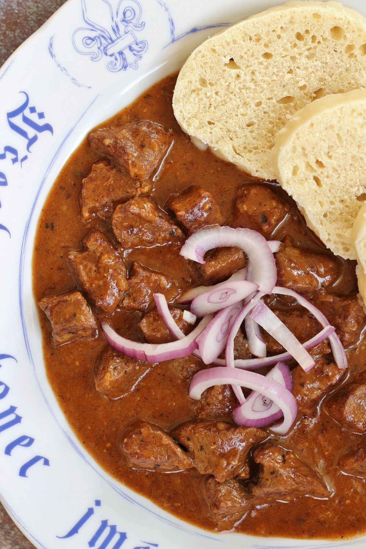 overhead view of Czech goulash with sliced red onion and dumplings on a white plate