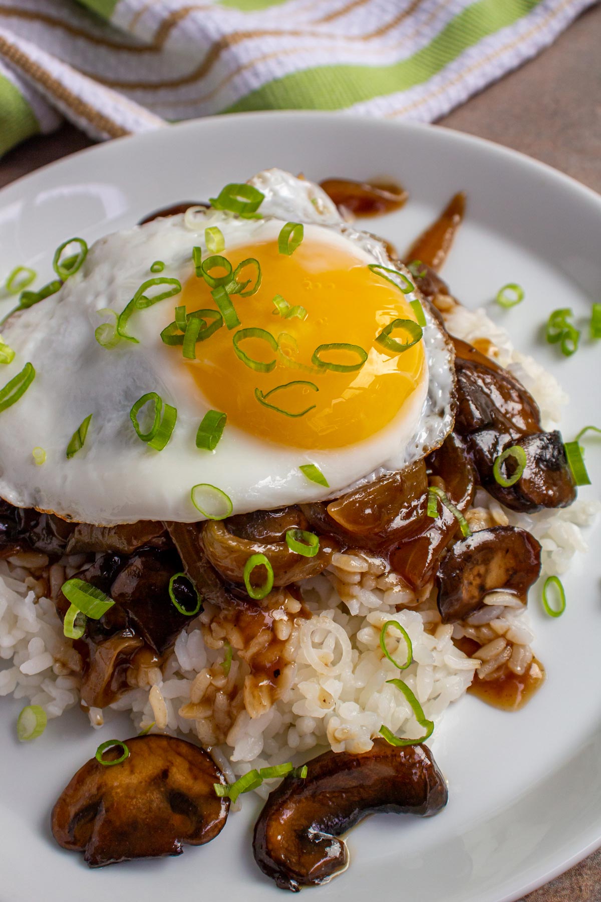 Closeup of a loco moco with mushroom and onion gravy and scallions on a white plate.