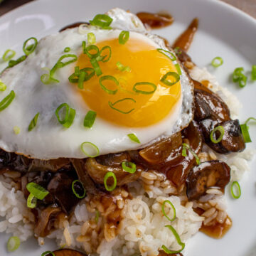 Closeup of a loco moco with mushroom and onion gravy and scallions on a white plate.