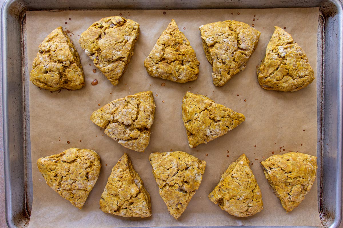 Triangular pumpkin pecan scones baked on a parchment paper lined baking sheet.