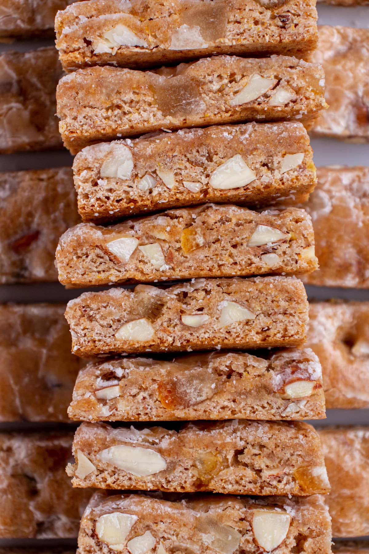 Closeup of a row of leckerli showing the cross-section of nuts and candied citrus peel.