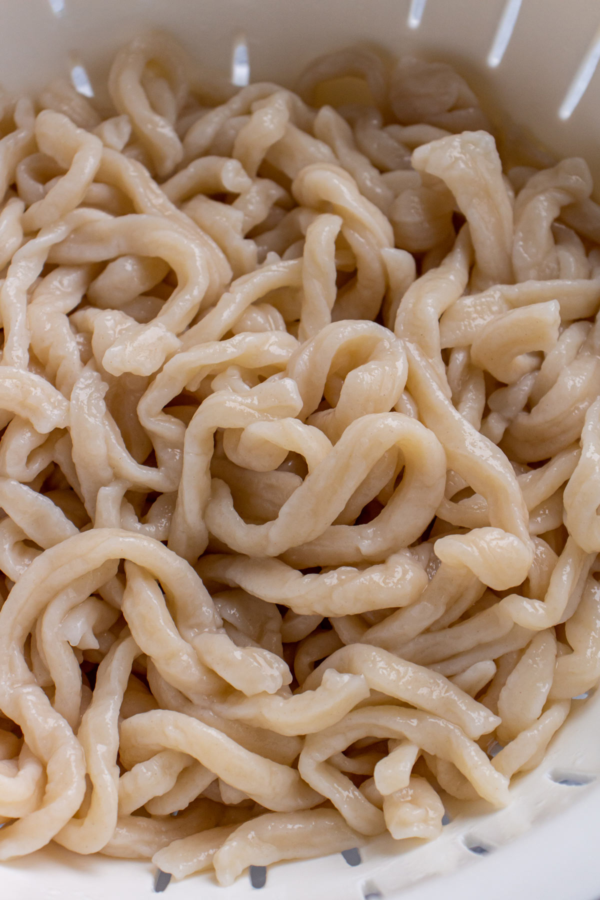 Closeup of boiled homemade udon noodles in a white plastic colander.