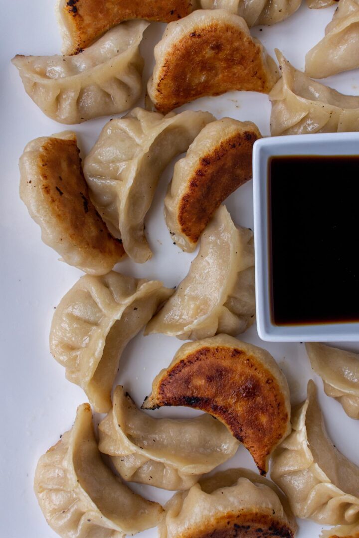 Pork and Cabbage Dumplings Mission Food Adventure