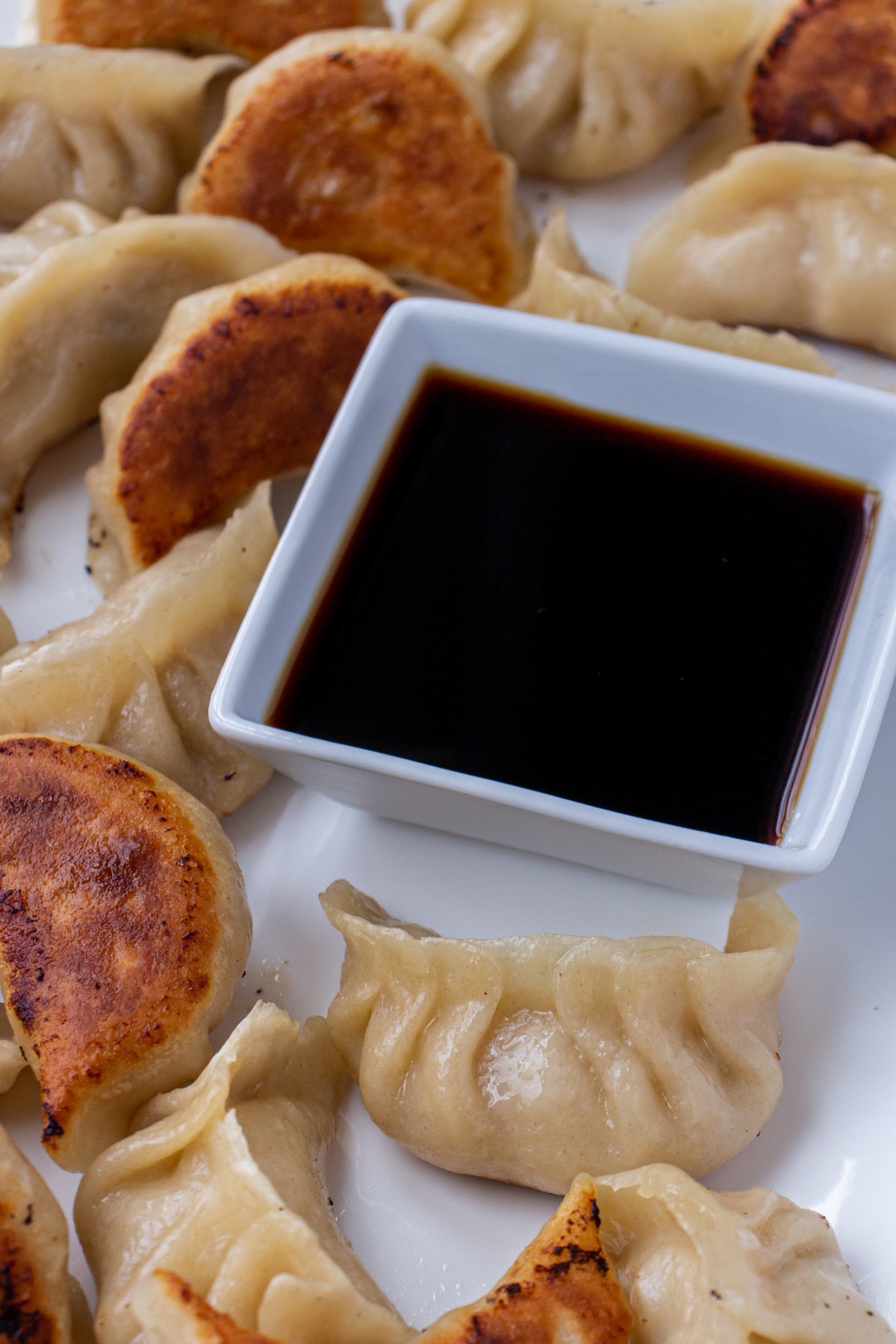 Closeup of pork and cabbage dumplings on a white platter with a dish of dipping sauce.