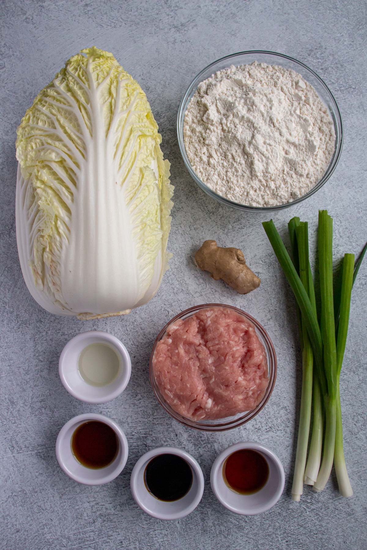 Ingredients for pork and cabbage dumplings on a light grey background.