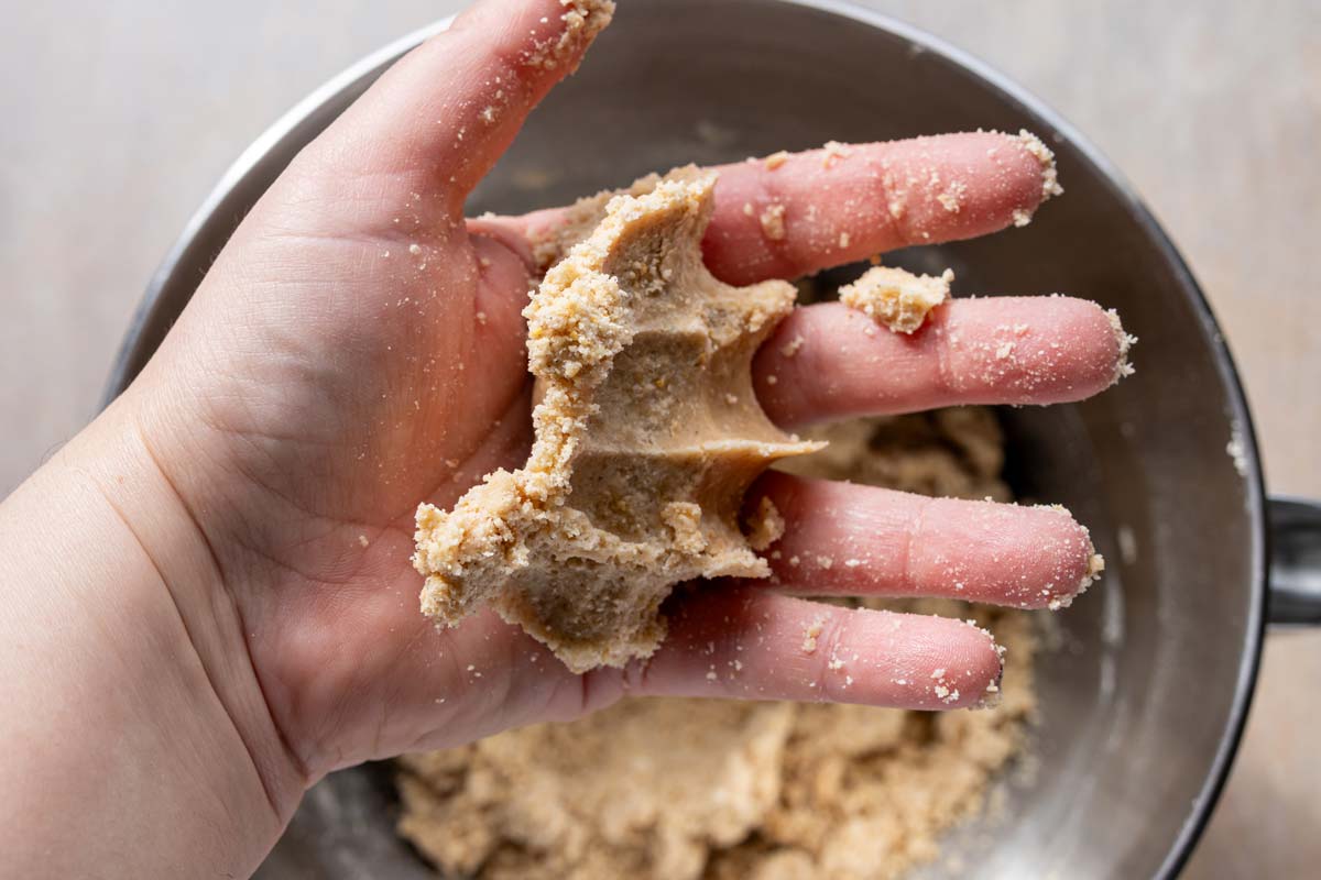 A crumbly dough pressed into a person's fist to show how it comes together.